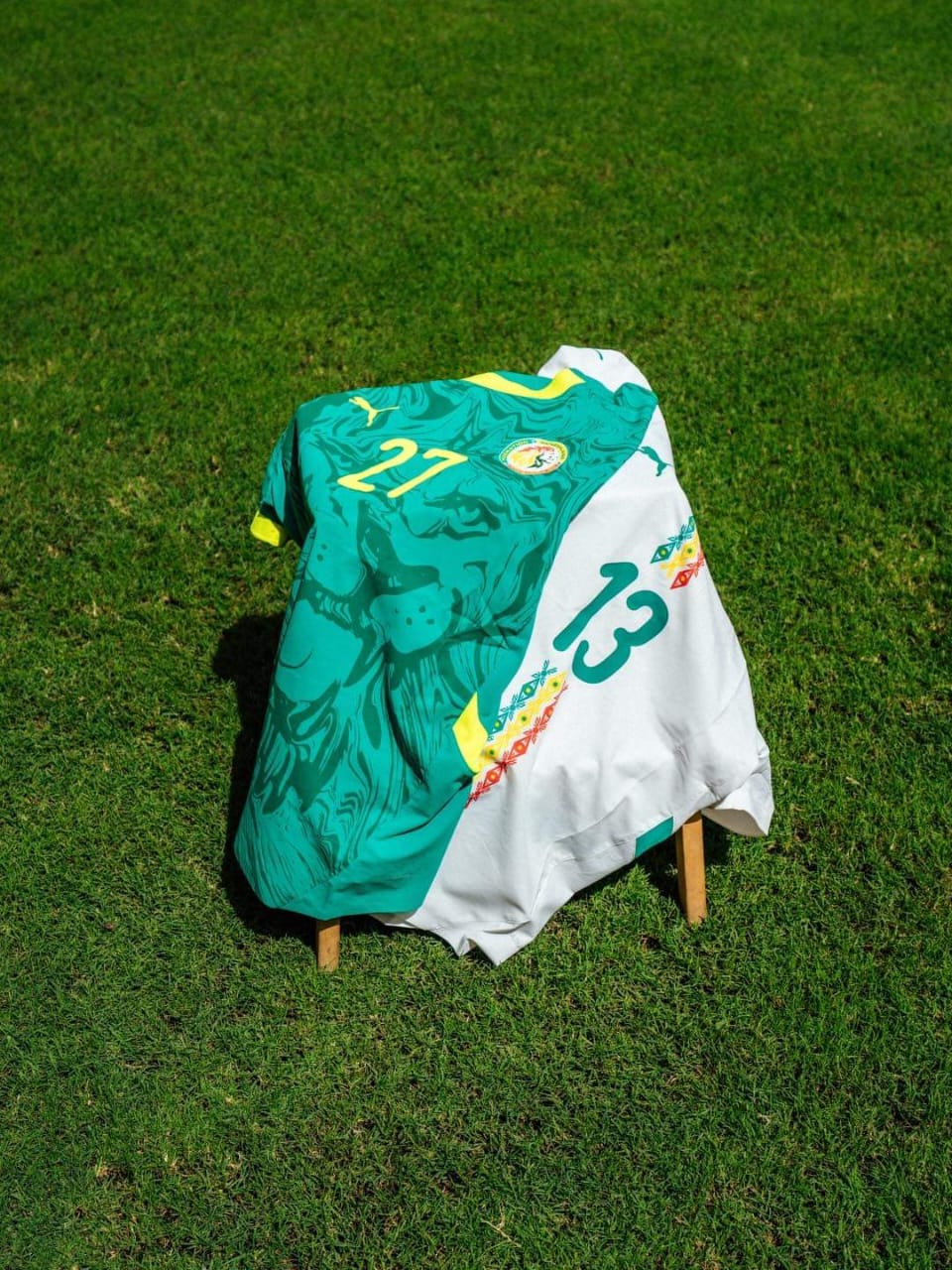 Maillot Sénégal domicile bicolore vert et blanc sur terrain